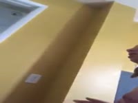 Jessica Monaco dog eating my pussy 